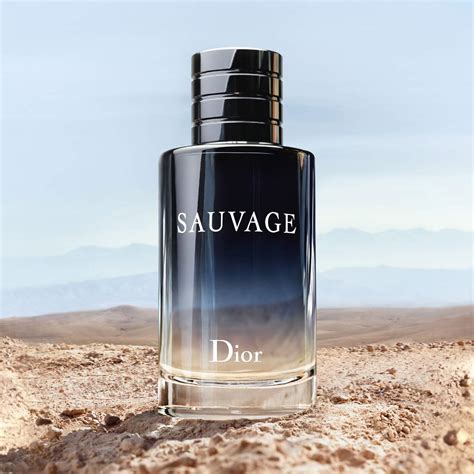 sauvage dior 2015|Dior Sauvage types.